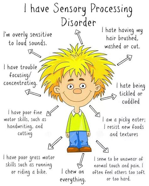 Sensory Processing Disorder Diagram Sensory Processing Processing