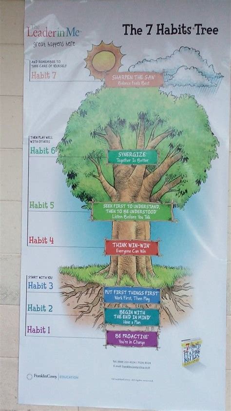 Leader In Me Chart 7 Habits Tree 7 Habits Leader In Me