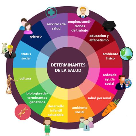 Salud Y Sociedad Encuentro 1 Determinantes Sociales De La Salud