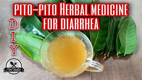 Pito Pito Herbal Medicine For Diarrhea Youtube