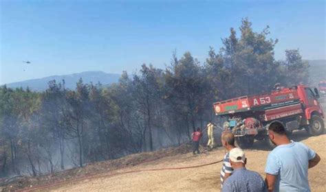 Son Dakika İzmir de çıkan orman yangını kontrol altına alındı Son