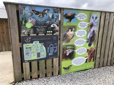 Cornish Birds Of Prey Centre Access Cornwall