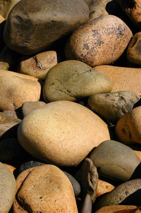 Beach Rocks Rounded Pebbles Stock Photo Image Of Island Maine 9163118