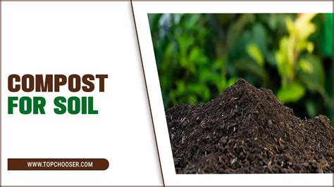 How To Use Compost For Soil: A Beginner's Guide