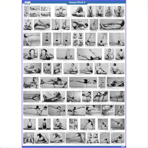 Poster Asanas Nivel Yoga Iyengar Iyogaprops