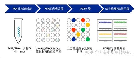 数字PCR 技术 一种高精度超灵敏的核酸绝对定量技术 知乎