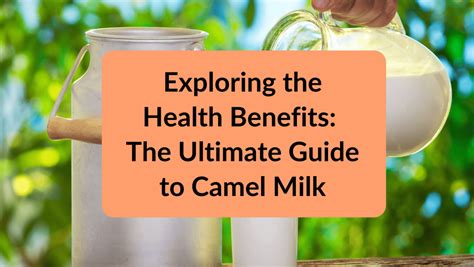 Raw Camel Milk Health Benefits Your Ultimate Guide