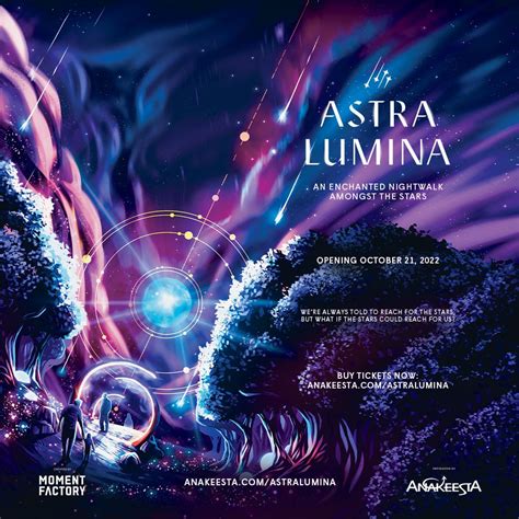 Astra Lumina | Anakeesta's Enchanted Night Walk