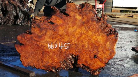 Burl Slabs Live Edge Wood Redwood Burl Inc