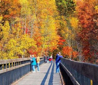 Things to Do in Fall | Laurel Highlands, PA