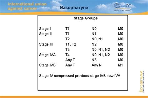 Tnm Classification Of Malignant Tumours Th 8 Edition