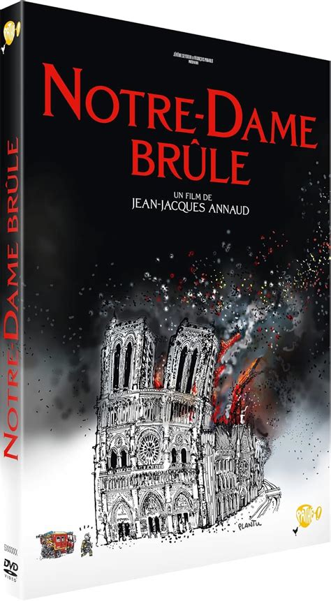 Amazon co jp Topamz Notre Dame brûle DVD