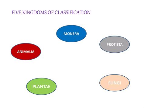 Biological Classification Ppt