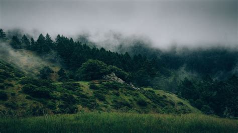 Forest Mist Hill Photography Wallpapers Hd Desktop And Mobile