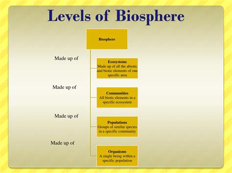 PPT - Energy and Matter Exchange in the Biosphere PowerPoint ...