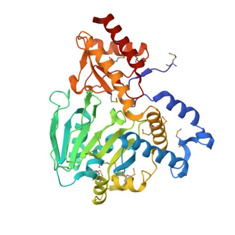 Rcsb Pdb 3m5u Crystal Structure Of Phosphoserine Aminotransferase From Campylobacter Jejuni