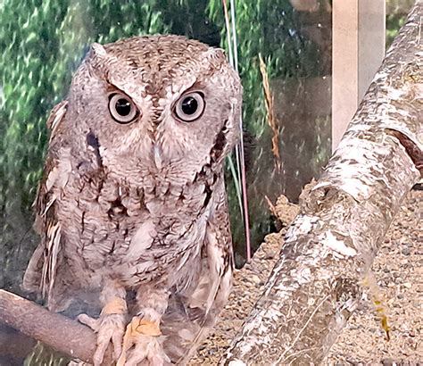 New Oxbow Nature Center now open | Dodge County Independent