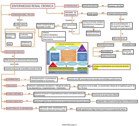 Enfermedad Renal Cr Nica En Adulto Mayor Organizador Visual