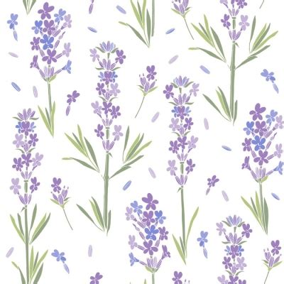 Transparant Gordijn Naadloze Vector Patroon Met Lavendel Bloemen