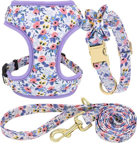 Amazon.com : Beirui Cute Girl Dog Collars, Harnesses & Leashes Set - Adjustable Dog Collar and ...