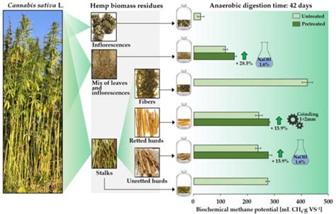 Energies Free Full Text Exploring The Biomethane Potential Of