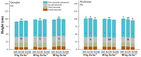 Agronomy Free Full Text The Potential Role Of Zinc And Silicon In Improving Grain Yield And