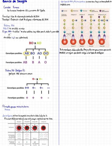 Hematología Banco de Sangre MaryFe Notes María Ovalle uDocz