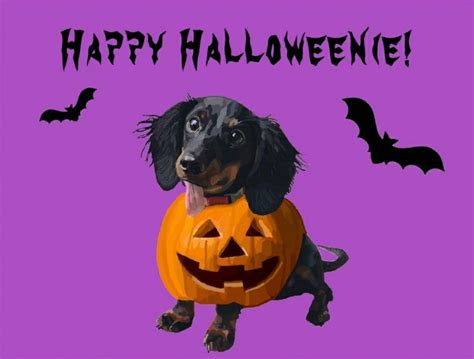 Halloween Halloween Happy Halloween Dachshund