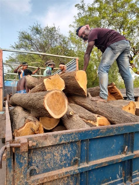 Teak Wood 8 Acacia Timber Round Log At Rs 800 Cubic Feet In