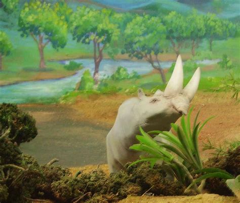 Arsinoitherium by fotostomias on DeviantArt