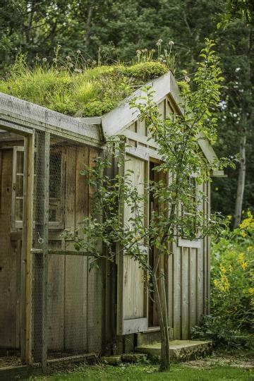 Styles Of Chicken Coops For Backyard Flocks Artofit