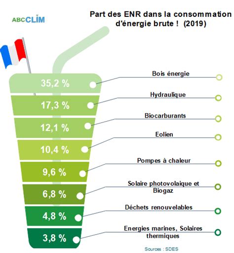 Quelles Sont Les 5 Familles Dénergies Renouvelables