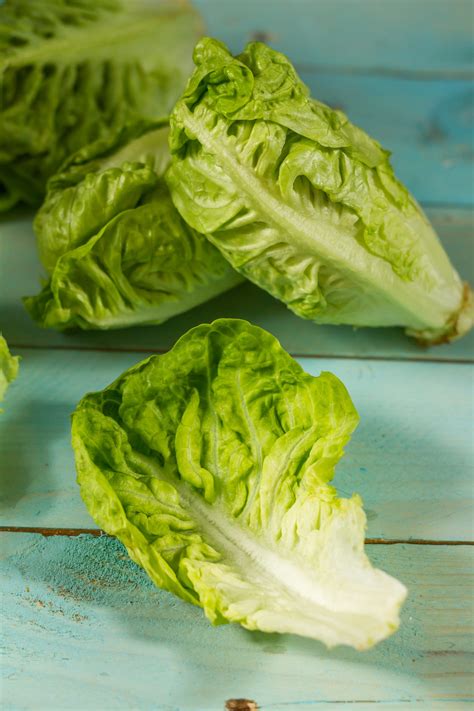 20 Types of Lettuce - Different Kinds of Lettuce and How to Use Them