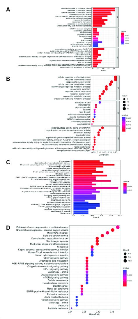 Go Enrichment Analysis Of Ferroptosis Related Lncrnas In The Tcga Liver Download Scientific