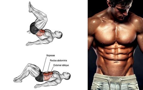 Exercises For Rectus Abdominis