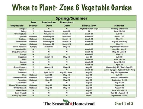 When to Plant Vegetables in Zone 6 - The Seasonal Homestead