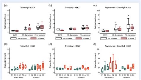 Enrichment Levels Of Repressive Histone Modifications At The Pr Gene In