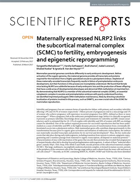 Pdf Maternally Expressed Nlrp2 Links The Subcortical Maternal Complex