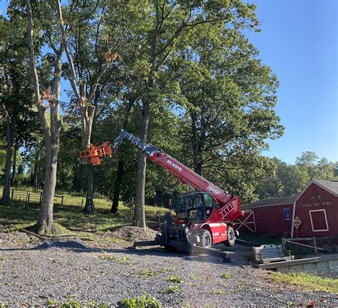 Tree Service Moon Township, PA | Robinson Township, PA