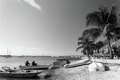 Marina Jacks, Sarasota, Fl Photograph by Mikez Fotoz | Fine Art America