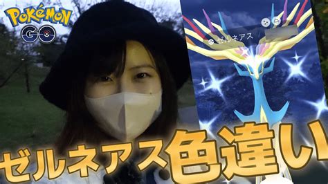 雨降り【色違い】【高個体値】ゼルネアスレイド In愛知県ポケモンgo ポケモン関連情報のまとめ動画