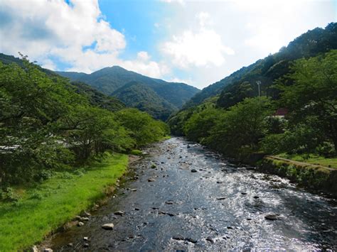 大鍋林道で大鍋越峠を越えて河津へ 伊豆の中年チャリダー