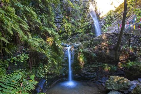 死ぬまでに行きたい埼玉県の絶景15選｜異世界ひとり旅