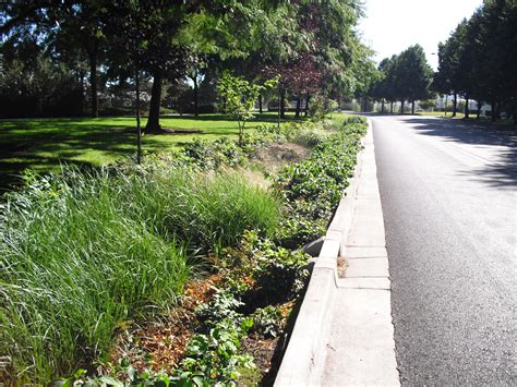 Bioswale Portland Small Stream Smart