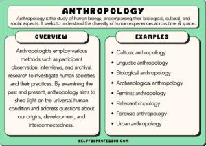 17 Anthropology Examples (2025)