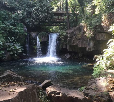 Fotos De Uruapan Imágenes Y Fotografías