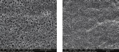 Fesem Images Of Porous Structured Nio Formed On Nickel Thin Film With