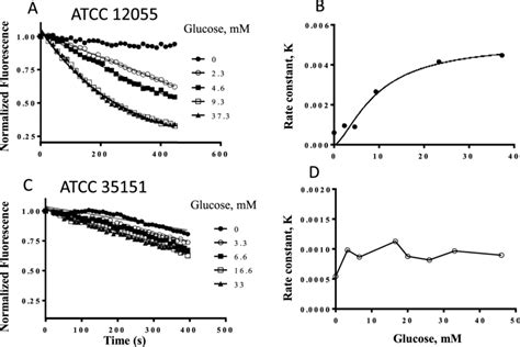 Nile Red Efflux Is Dramatically Lower In The Pseudomonas Aeruginosa