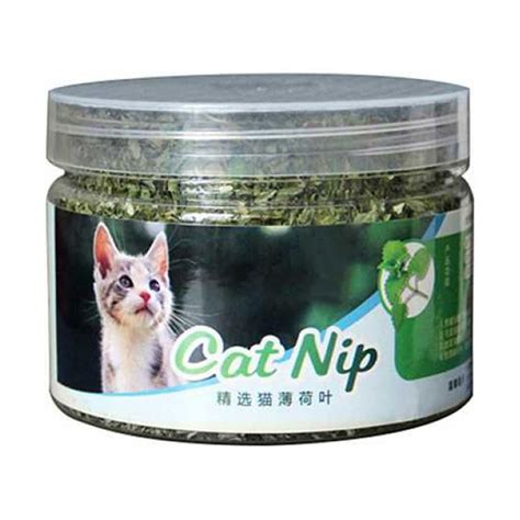 Funny Kitten Toys Natural Organic Premium Catnip Catmint G