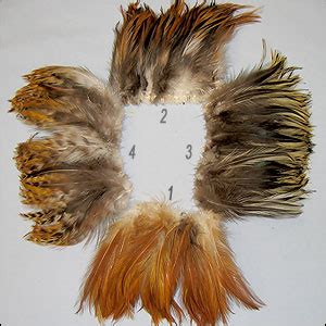 Rooster & Goose Feathers For Sale - Saddles, Hackles & Schlappen